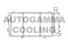 AUTOGAMMA 100172 Radiator, engine cooling